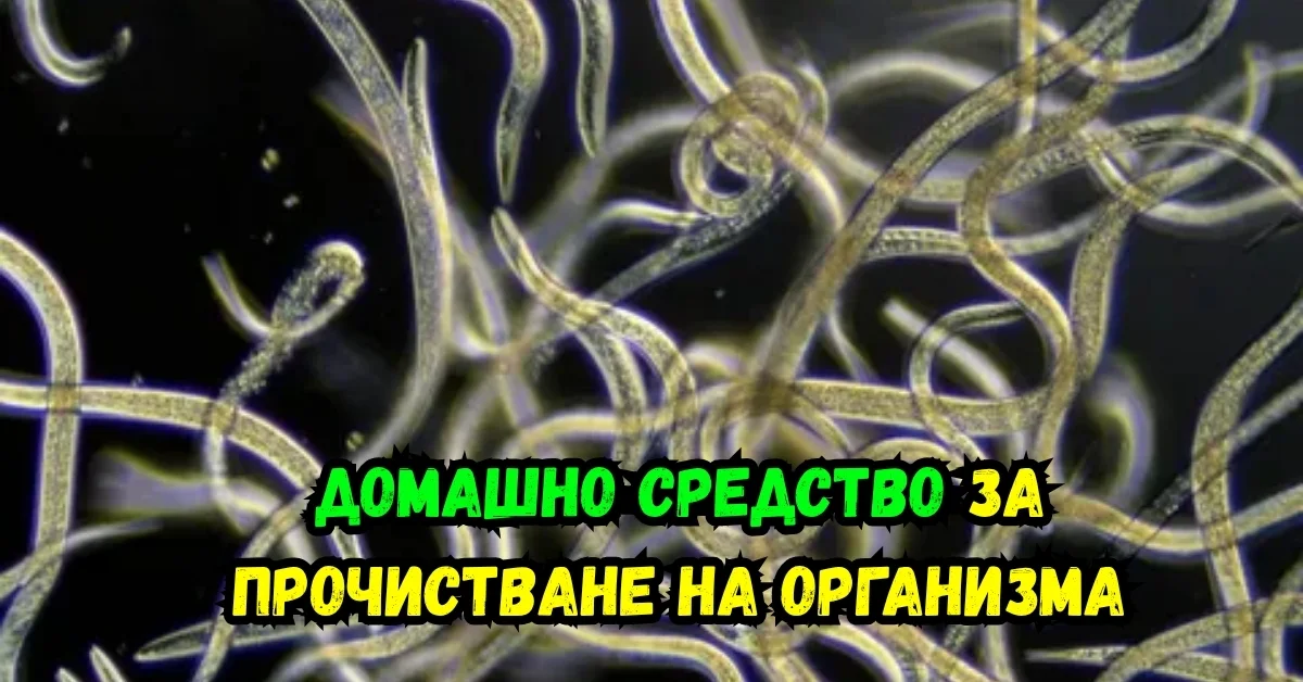Смесена напитка