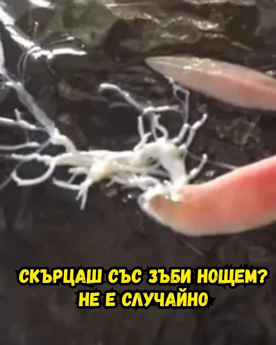 Прополис и мед